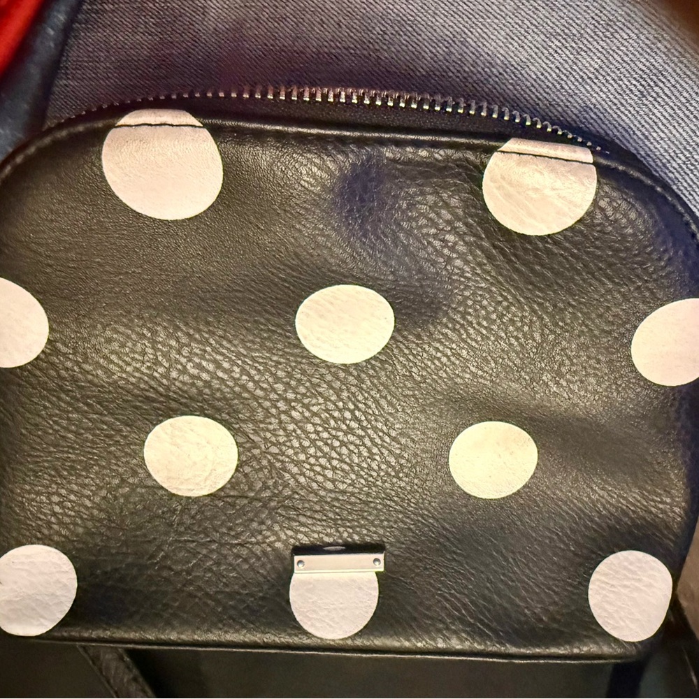 Polka Dot Black and White Women's Bag